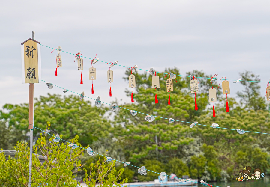 四鯤鯓鯤鯓湖紅樹林生態觀光船 台南 景點 親子 互動 生態 好玩 有趣 體驗 深度 文化 安平 鹽田 新景點