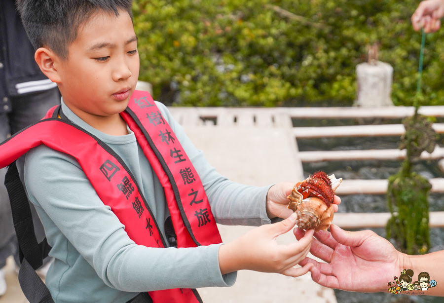 四鯤鯓鯤鯓湖紅樹林生態觀光船 台南 景點 親子 互動 生態 好玩 有趣 體驗 深度 文化 安平 鹽田 新景點
