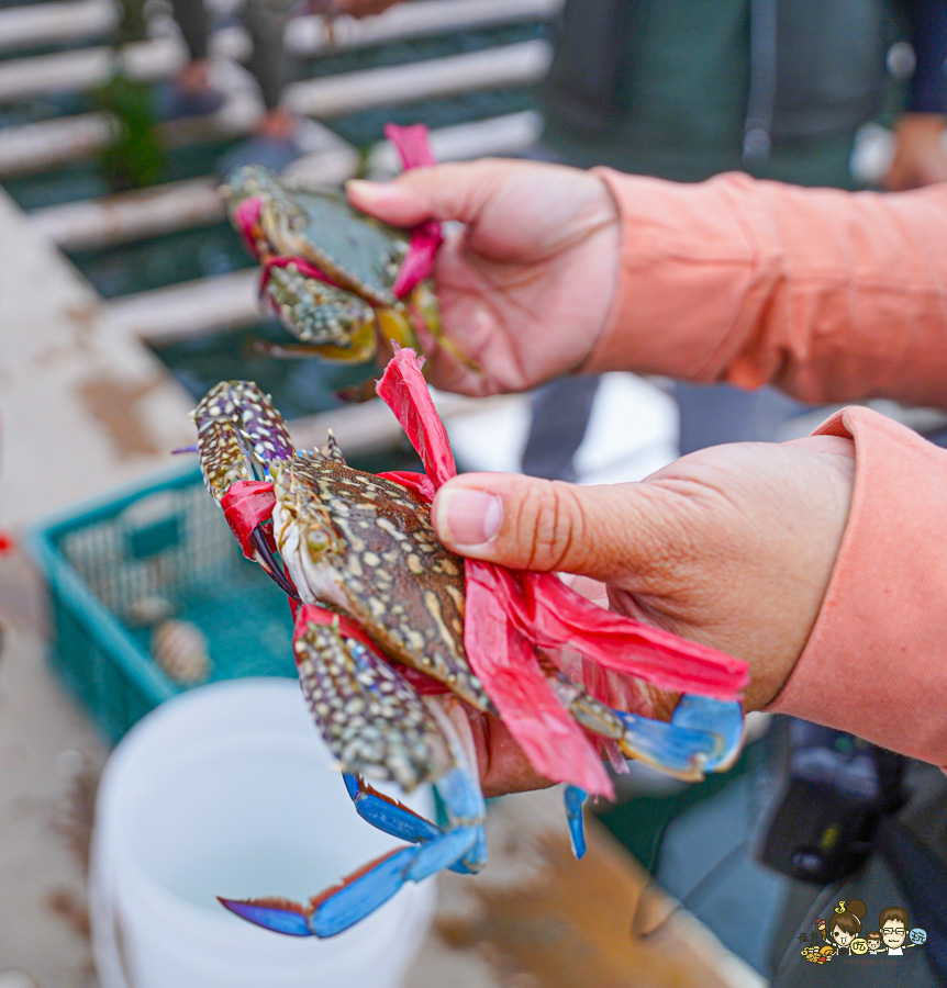 四鯤鯓鯤鯓湖紅樹林生態觀光船 台南 景點 親子 互動 生態 好玩 有趣 體驗 深度 文化 安平 鹽田 新景點