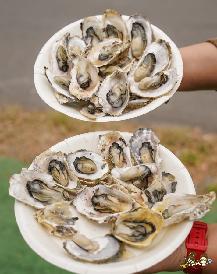 四鯤鯓鯤鯓湖紅樹林生態觀光船 台南 景點 親子 互動 生態 好玩 有趣 體驗 深度 文化 安平 鹽田 新景點