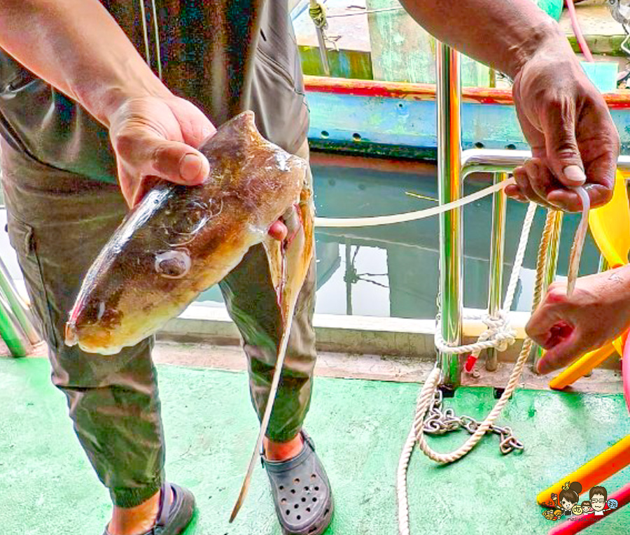 四鯤鯓鯤鯓湖紅樹林生態觀光船 台南 景點 親子 互動 生態 好玩 有趣 體驗 深度 文化 安平 鹽田 新景點