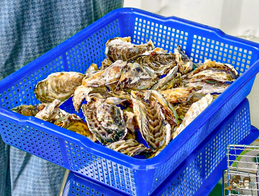 四鯤鯓鯤鯓湖紅樹林生態觀光船 台南 景點 親子 互動 生態 好玩 有趣 體驗 深度 文化 安平 鹽田 新景點