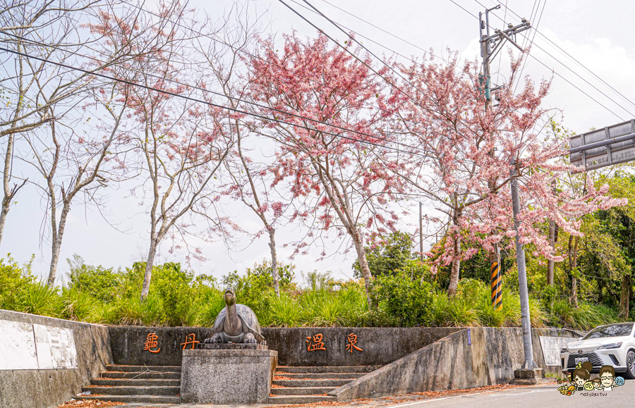 台南 梅嶺 龜丹溫泉 螢火蟲 網美餐廳 土雞城 旅遊 台南好吃好玩 推薦 必訪