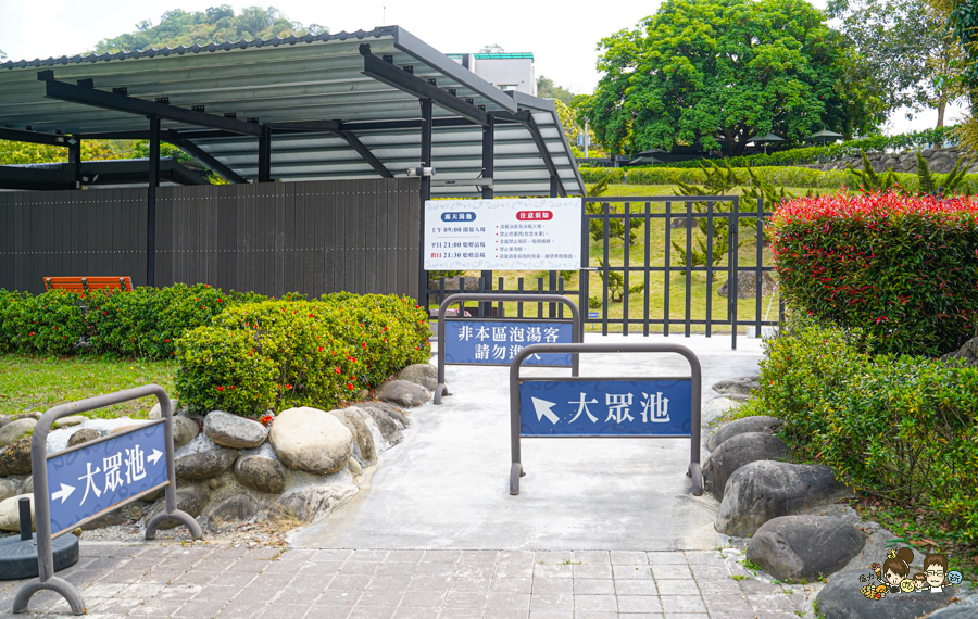 台南 梅嶺 龜丹溫泉 螢火蟲 網美餐廳 土雞城 旅遊 台南好吃好玩 推薦 必訪