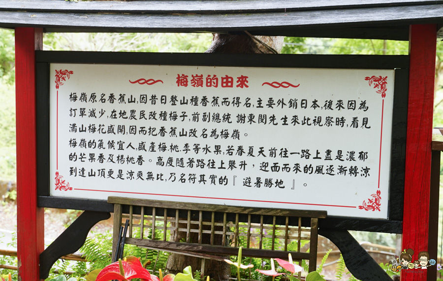 台南 梅嶺 龜丹溫泉 螢火蟲 網美餐廳 土雞城 旅遊 台南好吃好玩 推薦 必訪