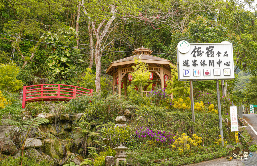 台南 梅嶺 龜丹溫泉 螢火蟲 網美餐廳 土雞城 旅遊 台南好吃好玩 推薦 必訪