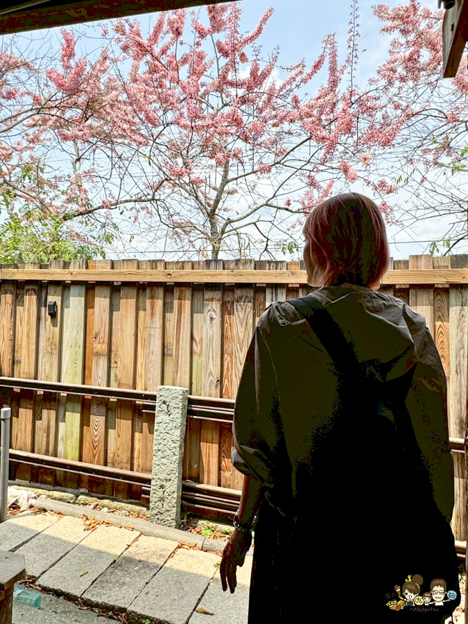 台南 梅嶺 龜丹溫泉 螢火蟲 網美餐廳 土雞城 旅遊 台南好吃好玩 推薦 必訪