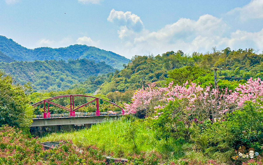 台南 梅嶺 龜丹溫泉 螢火蟲 網美餐廳 土雞城 旅遊 台南好吃好玩 推薦 必訪