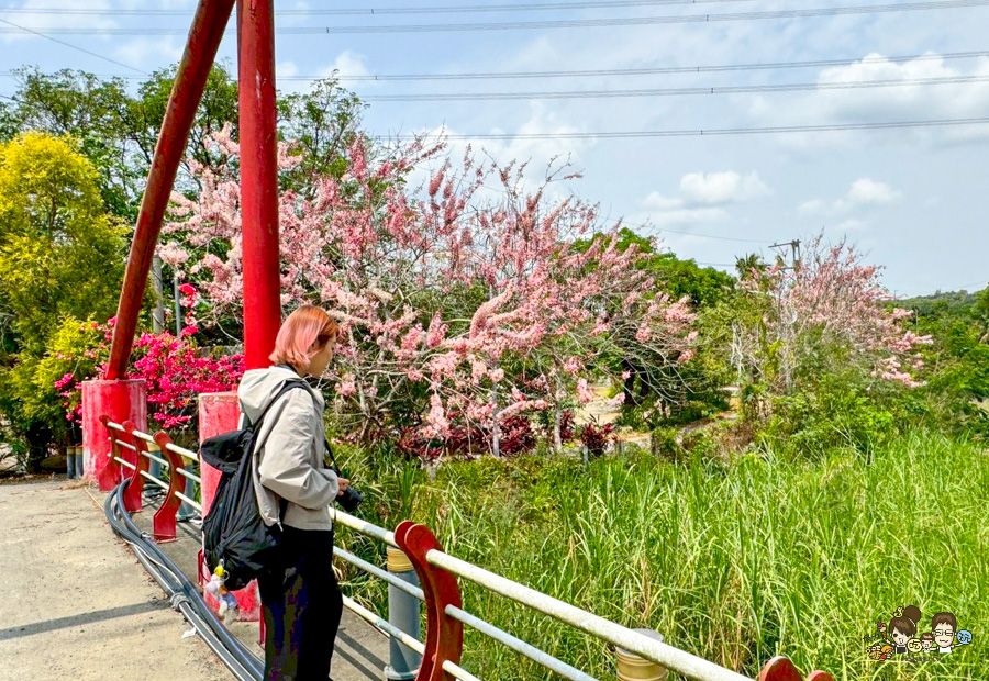 台南 梅嶺 龜丹溫泉 螢火蟲 網美餐廳 土雞城 旅遊 台南好吃好玩 推薦 必訪