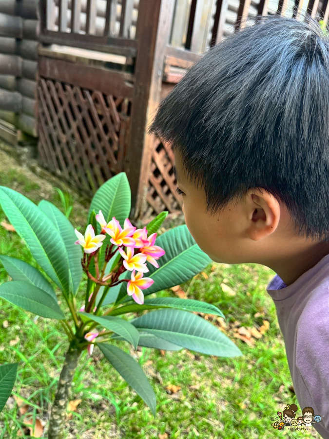小墾丁渡假村 墾丁恆春 度假 親子 互動 DIY 玩水 泳池 度假 放電 團客 親子景點 住宿推薦 寵物友善