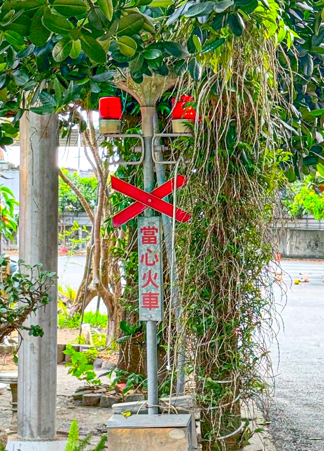 高雄土雞城 排隊 綠野山莊花園餐廳 觀音山 山上 高雄吃土雞 山產 私房菜 聚餐 包廂 聚會 宴客