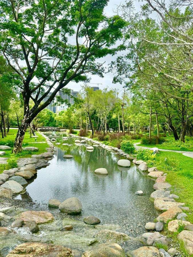 內惟森林親水河道 內惟埤濕地 迷霧森林 內惟森林親水河道 千坪佔地草地 森林系消暑勝地