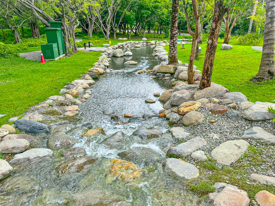 內惟森林親水河道 內惟埤濕地 迷霧森林 內惟森林親水河道 千坪佔地草地 森林系消暑勝地