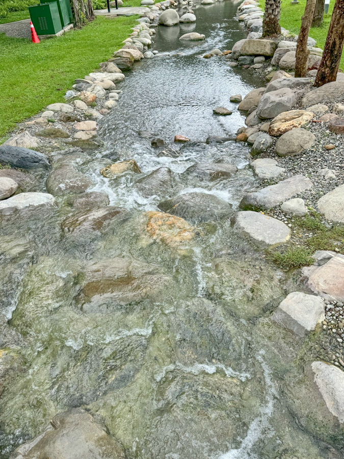 內惟森林親水河道 內惟埤濕地 迷霧森林 內惟森林親水河道 千坪佔地草地 森林系消暑勝地