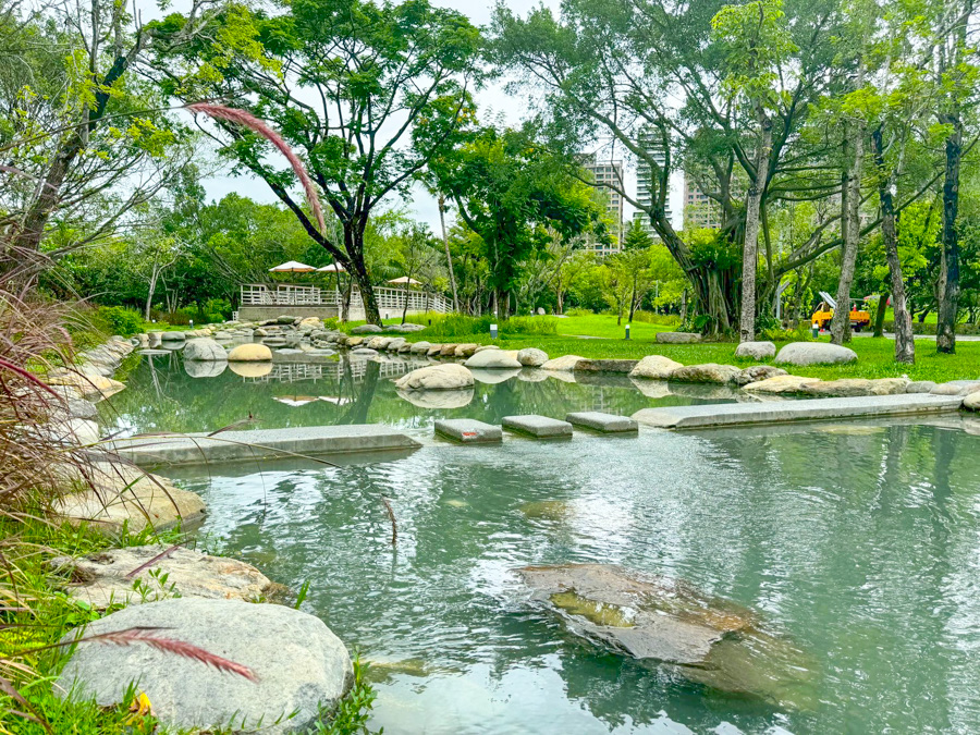 內惟森林親水河道 內惟埤濕地 迷霧森林 內惟森林親水河道 千坪佔地草地 森林系消暑勝地