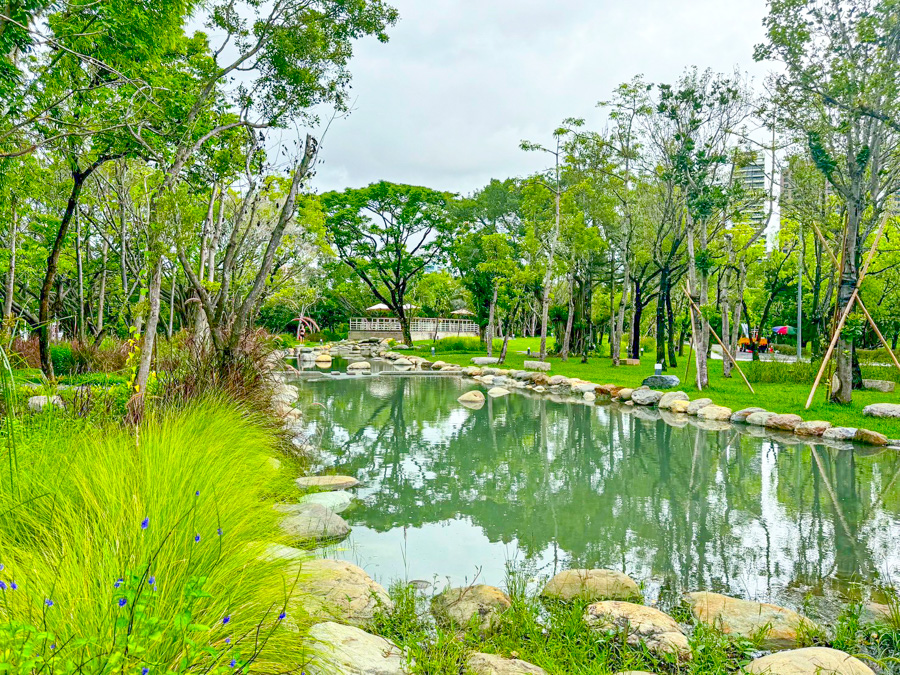 內惟森林親水河道 內惟埤濕地 迷霧森林 內惟森林親水河道 千坪佔地草地 森林系消暑勝地