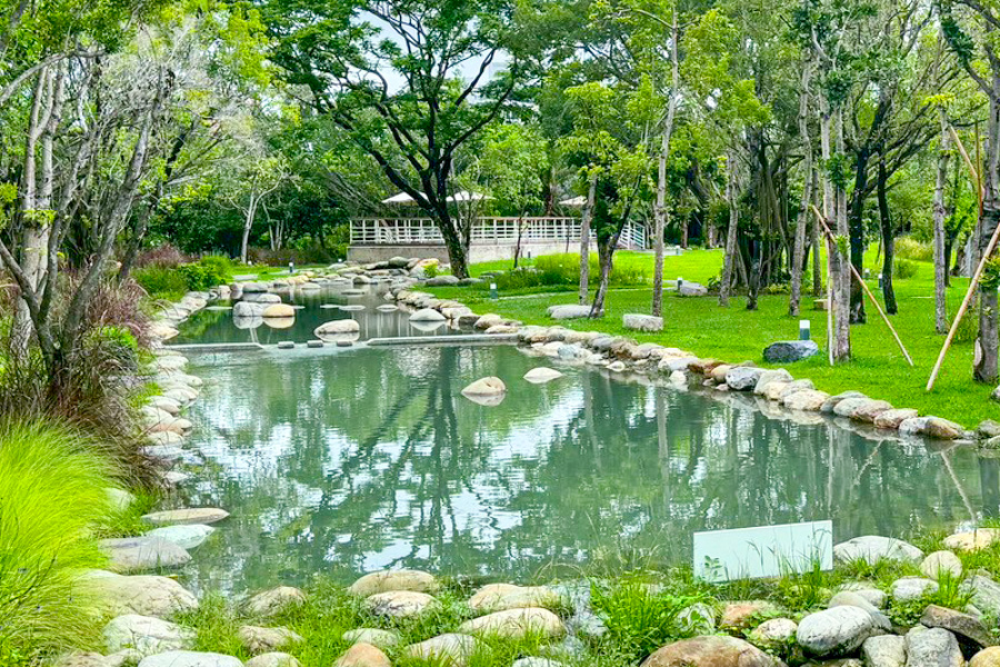內惟森林親水河道 內惟埤濕地 迷霧森林 內惟森林親水河道 千坪佔地草地 森林系消暑勝地