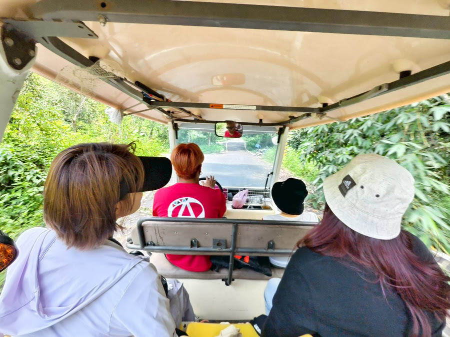 嘉義旅遊 親子 嘉義親子 和平社區 大埔鄉 曾文水庫 搭船 景觀 茶山部落 