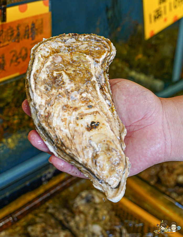 討海人海產 後壁湖生魚片 海鮮 百元生魚片 龍蝦 螃蟹 魚 現撈 漁夫料理 饕客 必吃 必訪 