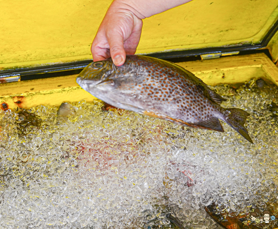 討海人海產 後壁湖生魚片 海鮮 百元生魚片 龍蝦 螃蟹 魚 現撈 漁夫料理 饕客 必吃 必訪 
