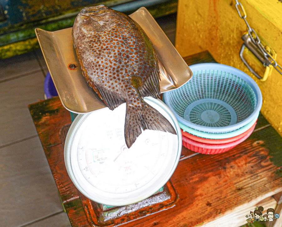 討海人海產 後壁湖生魚片 海鮮 百元生魚片 龍蝦 螃蟹 魚 現撈 漁夫料理 饕客 必吃 必訪 