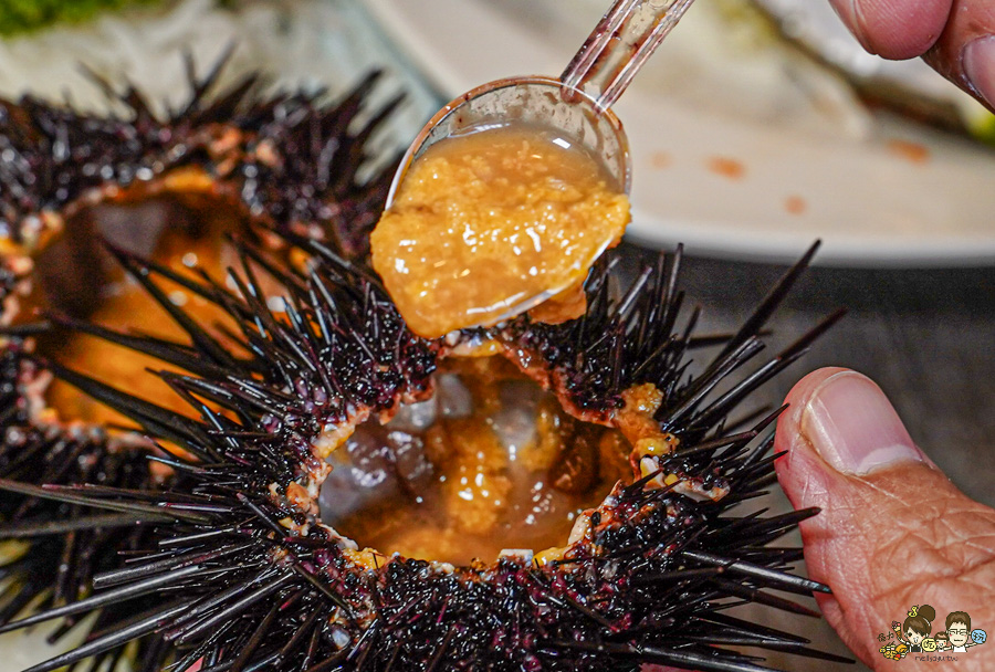 討海人海產 後壁湖生魚片 海鮮 百元生魚片 龍蝦 螃蟹 魚 現撈 漁夫料理 饕客 必吃 必訪 