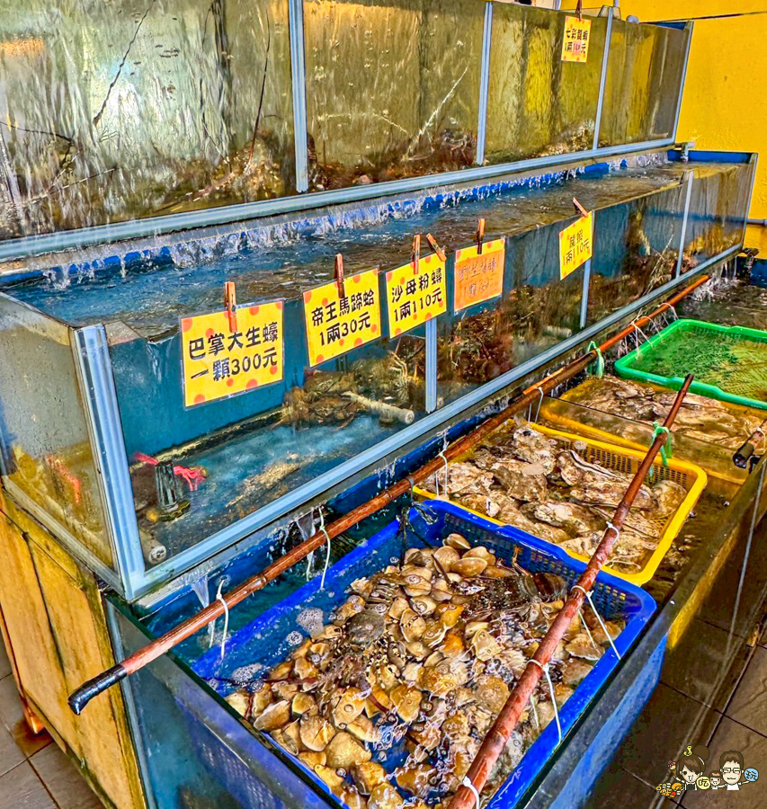 討海人海產 後壁湖生魚片 海鮮 百元生魚片 龍蝦 螃蟹 魚 現撈 漁夫料理 饕客 必吃 必訪 