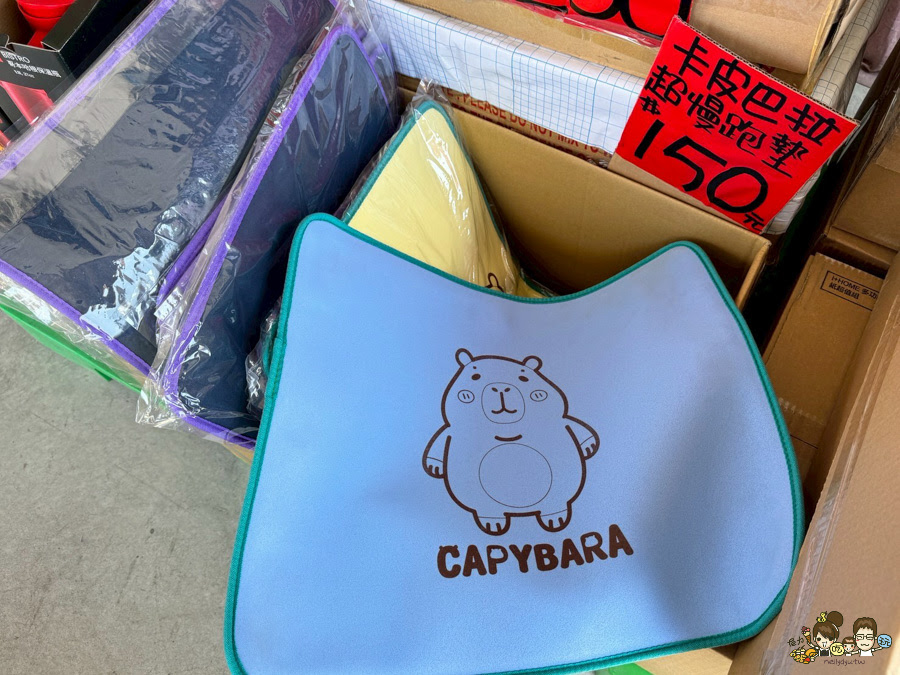 台南 永康 文具 特賣會 正版授權 好買 好逛 銅板 文具 泳衣 雜貨 特賣