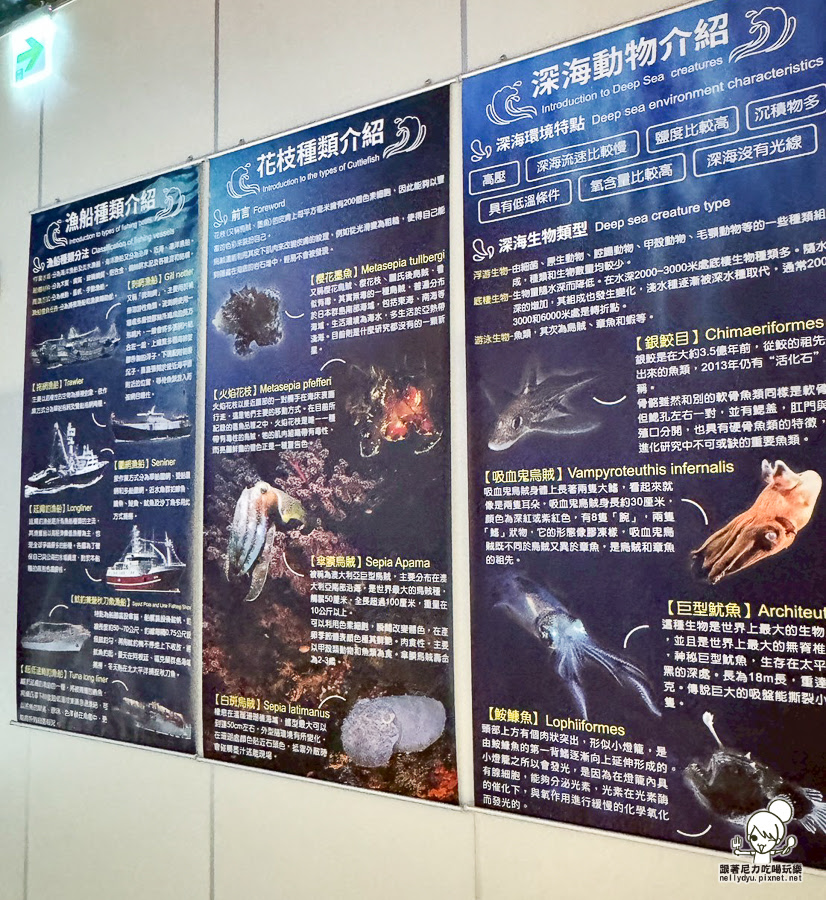 宏裕行花枝丸館 觀光工廠 DIY 花枝 蝦排 好玩 好逛 親子 高雄景點 高雄旅遊 
