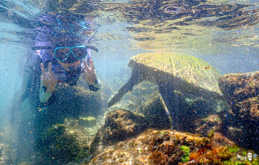 小琉球 好玩 玩水 SUP 獨木舟 預約 拍照 專人 浮淺 旅遊 度假