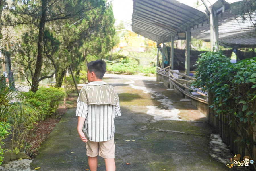 南投景點 親子 池邊食光 美食 披薩 體驗 小農夫 釣魚 釣牛蛙 餵食小動物 魚池景點 南投旅遊 