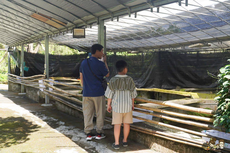 南投景點 親子 池邊食光 美食 披薩 體驗 小農夫 釣魚 釣牛蛙 餵食小動物 魚池景點 南投旅遊 