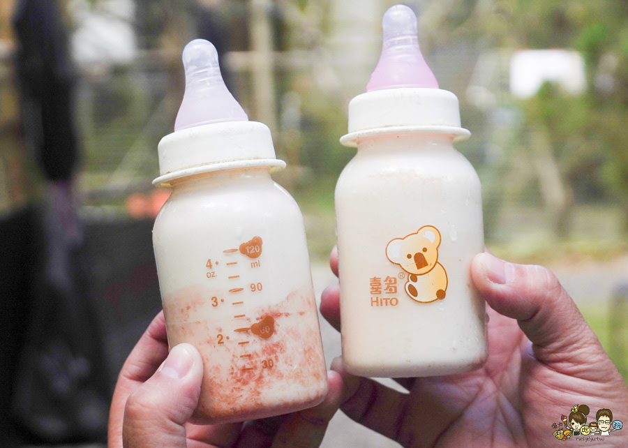 南投景點 親子 池邊食光 美食 披薩 體驗 小農夫 釣魚 釣牛蛙 餵食小動物 魚池景點 南投旅遊 