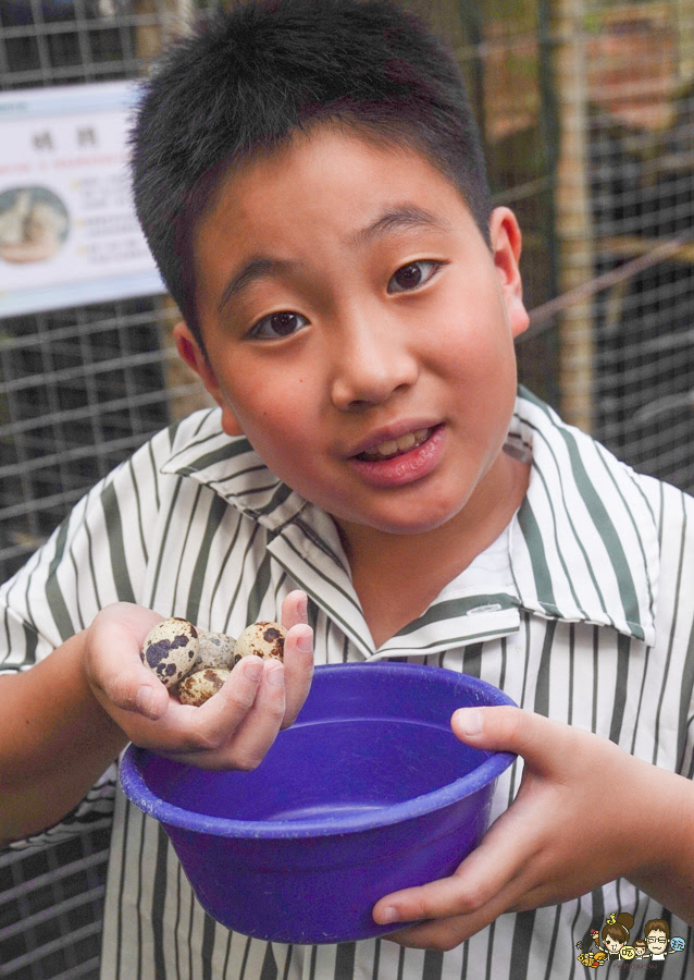 南投景點 親子 池邊食光 美食 披薩 體驗 小農夫 釣魚 釣牛蛙 餵食小動物 魚池景點 南投旅遊 