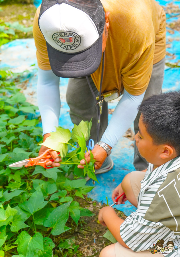 南投景點 親子 池邊食光 美食 披薩 體驗 小農夫 釣魚 釣牛蛙 餵食小動物 魚池景點 南投旅遊 