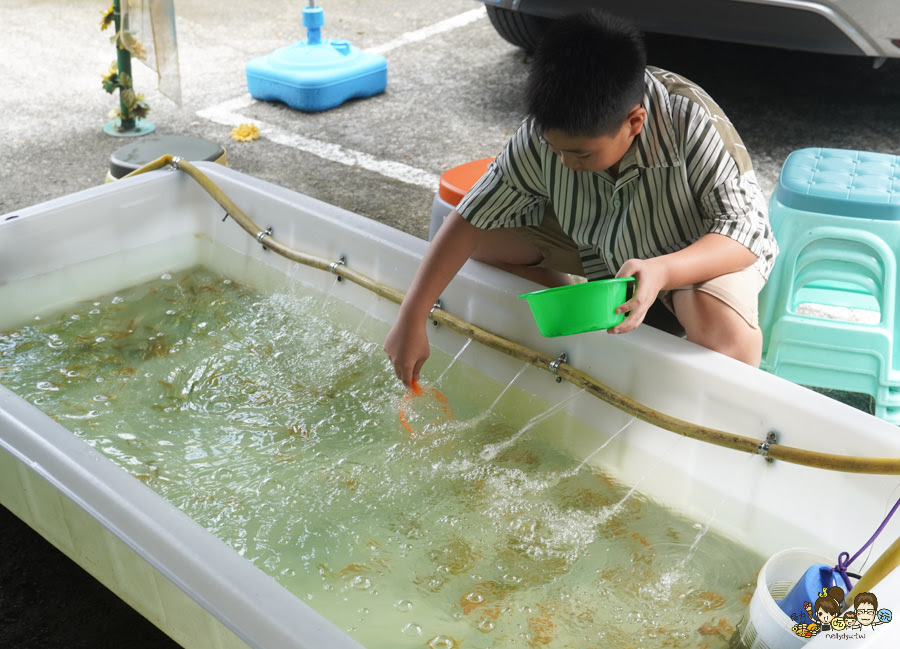 南投景點 親子 池邊食光 美食 披薩 體驗 小農夫 釣魚 釣牛蛙 餵食小動物 魚池景點 南投旅遊 