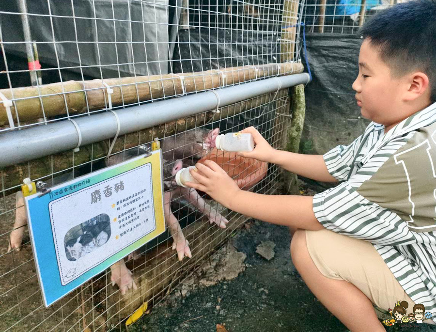 南投景點 親子 池邊食光 美食 披薩 體驗 小農夫 釣魚 釣牛蛙 餵食小動物 魚池景點 南投旅遊 