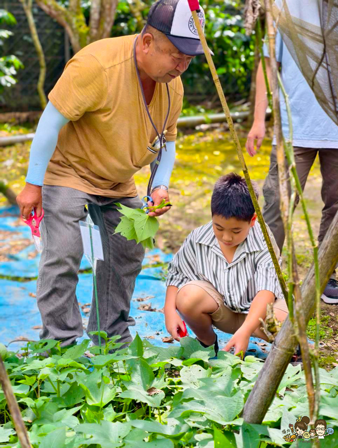 南投景點 親子 池邊食光 美食 披薩 體驗 小農夫 釣魚 釣牛蛙 餵食小動物 魚池景點 南投旅遊 