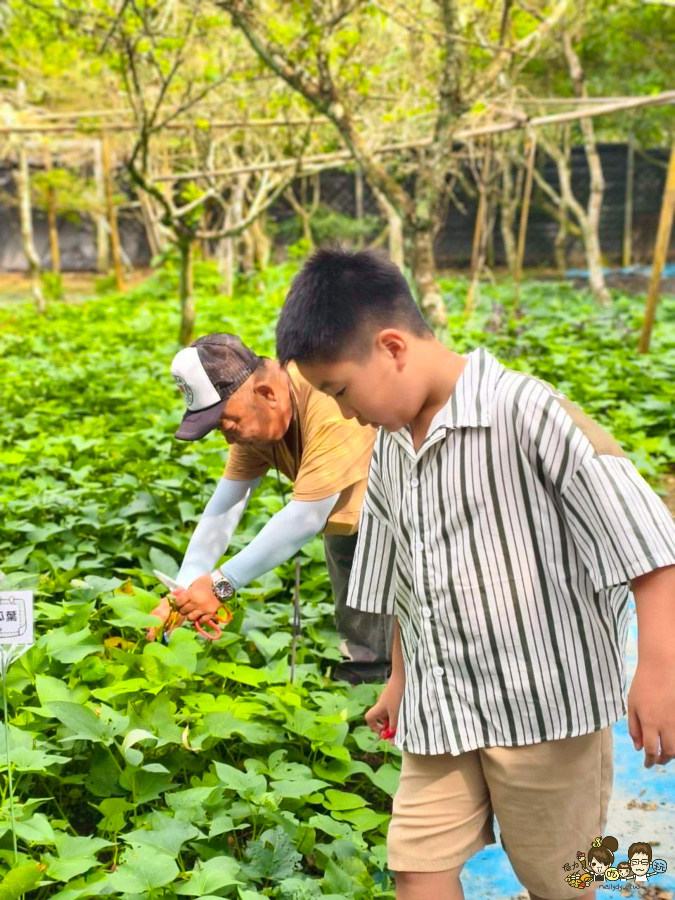 南投景點 親子 池邊食光 美食 披薩 體驗 小農夫 釣魚 釣牛蛙 餵食小動物 魚池景點 南投旅遊 