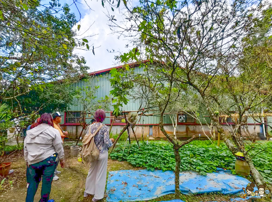 南投景點 親子 池邊食光 美食 披薩 體驗 小農夫 釣魚 釣牛蛙 餵食小動物 魚池景點 南投旅遊 