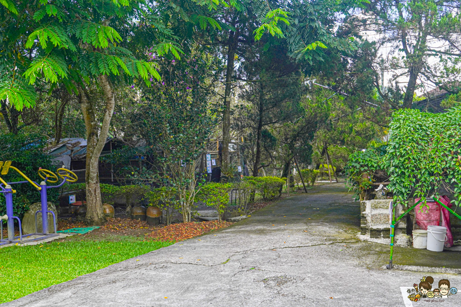 南投景點 親子 池邊食光 美食 披薩 體驗 小農夫 釣魚 釣牛蛙 餵食小動物 魚池景點 南投旅遊 