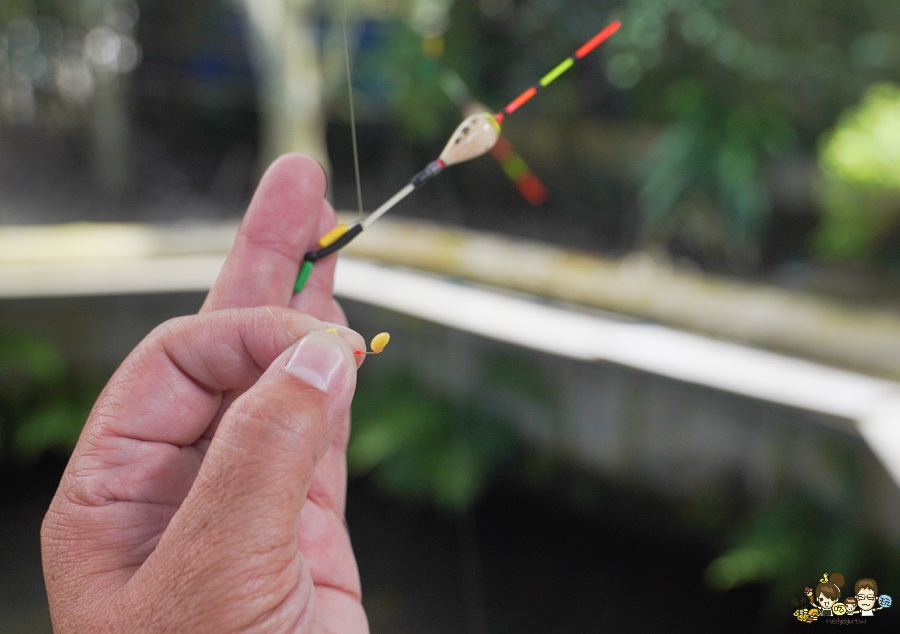 南投景點 親子 池邊食光 美食 披薩 體驗 小農夫 釣魚 釣牛蛙 餵食小動物 魚池景點 南投旅遊 