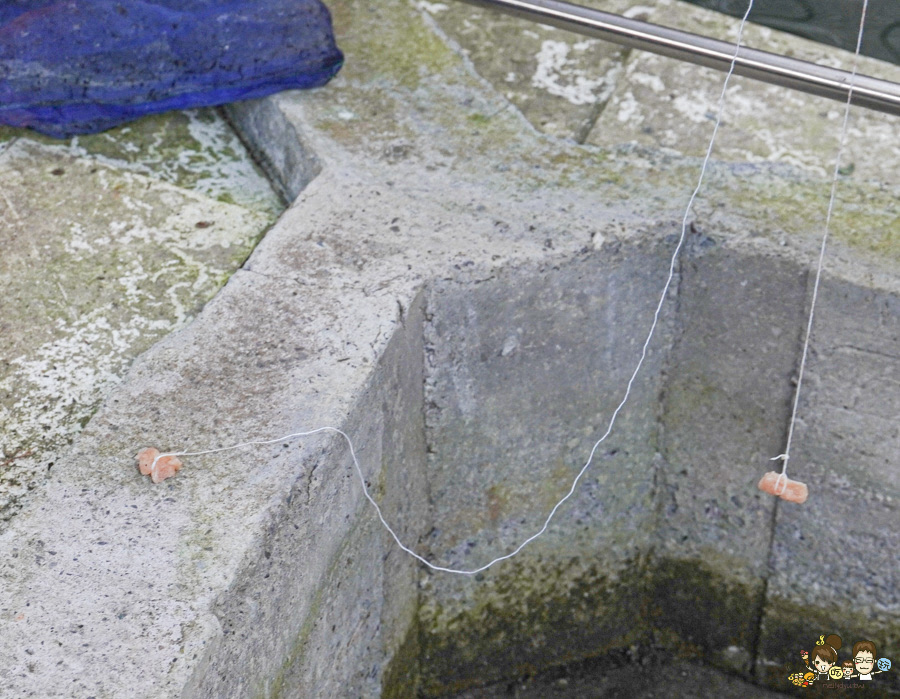 南投景點 親子 池邊食光 美食 披薩 體驗 小農夫 釣魚 釣牛蛙 餵食小動物 魚池景點 南投旅遊 