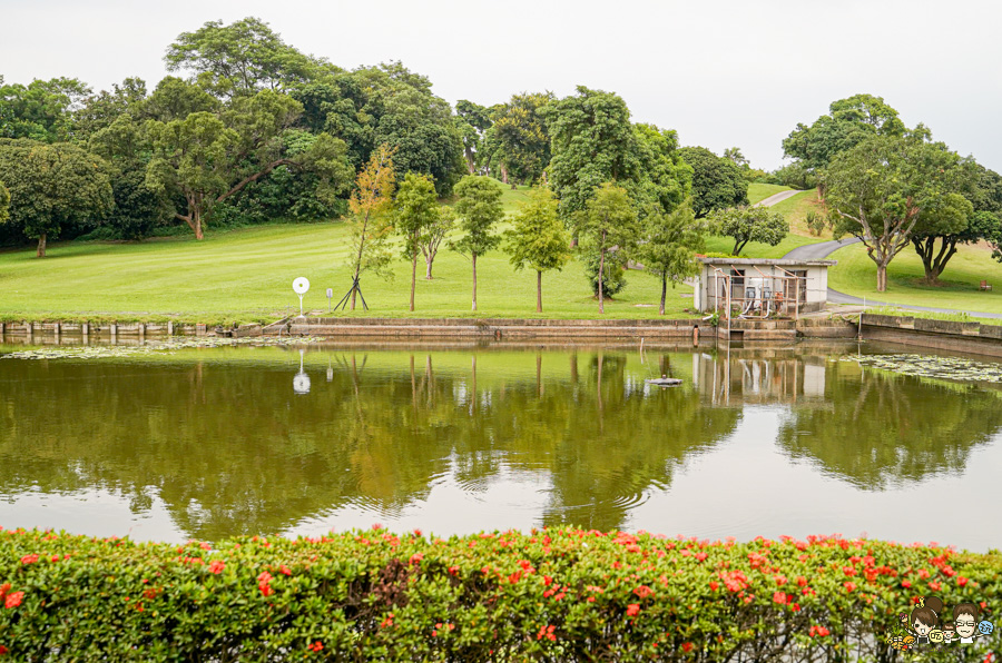 高雄果嶺自然公園 高雄最大後花園 原高雄高爾夫球場 草地 免費 超大 巨大 秘境