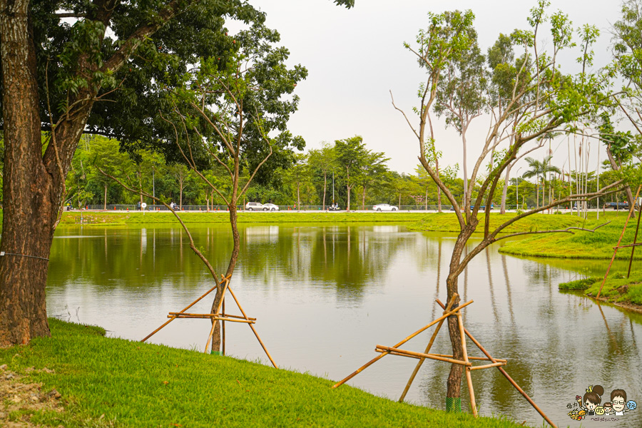 高雄果嶺自然公園 高雄最大後花園 原高雄高爾夫球場 草地 免費 超大 巨大 秘境