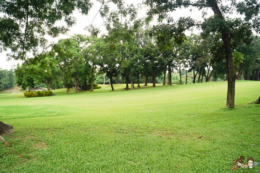 高雄果嶺自然公園 高雄最大後花園 原高雄高爾夫球場 草地 免費 超大 巨大 秘境
