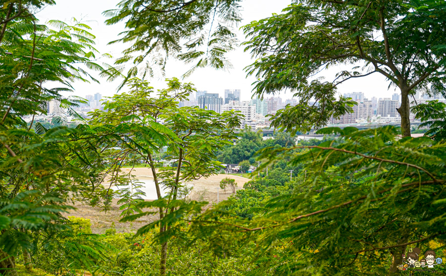 高雄果嶺自然公園 高雄最大後花園 原高雄高爾夫球場 草地 免費 超大 巨大 秘境