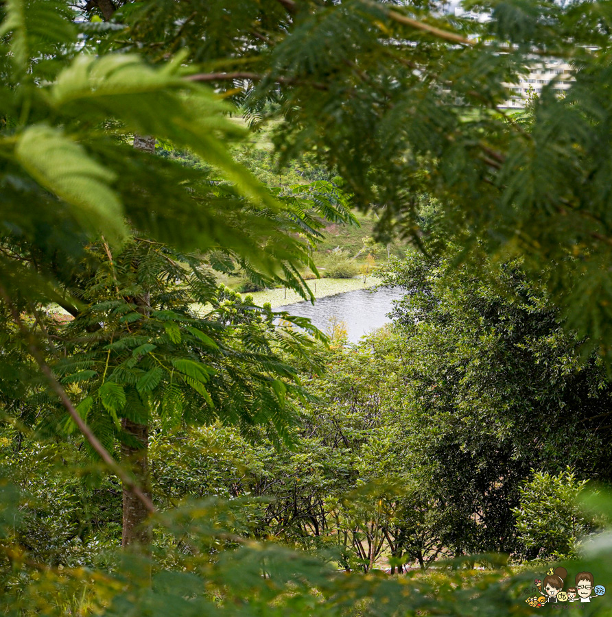 高雄果嶺自然公園 高雄最大後花園 原高雄高爾夫球場 草地 免費 超大 巨大 秘境