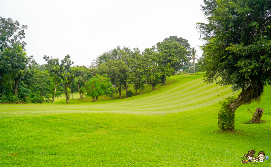 高雄果嶺自然公園 高雄最大後花園 原高雄高爾夫球場 草地 免費 超大 巨大 秘境