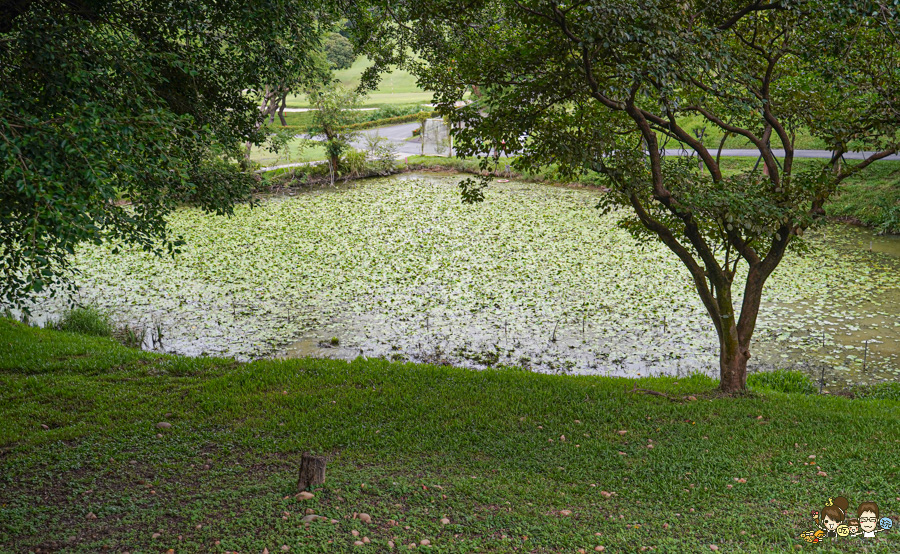 高雄果嶺自然公園 高雄最大後花園 原高雄高爾夫球場 草地 免費 超大 巨大 秘境